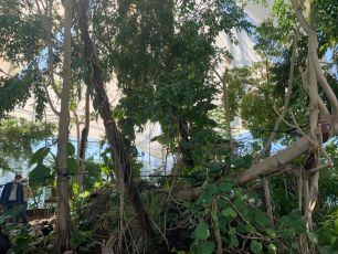 Genova, turismo: alla Biosfera 3.600 visitatori in pochi giorni