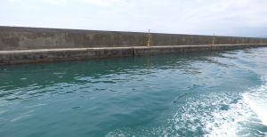 Genova, Signorini sulla diga: "Opera fondamentale, discuterla è comico: il 1° giugno via al bando"