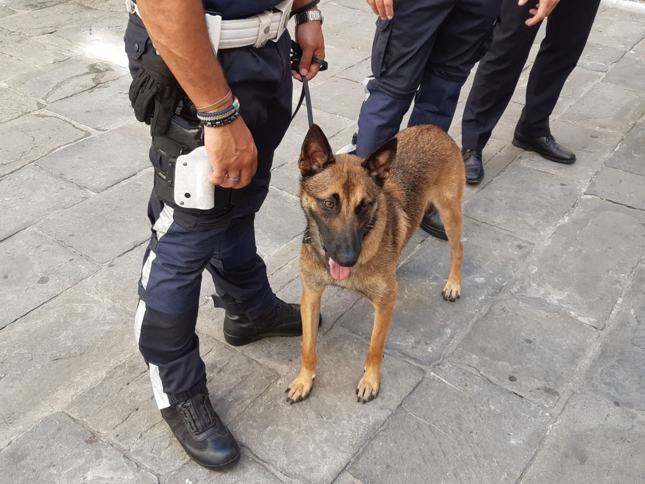 La Spezia, cane poliziotto 'fiuta' oltre mezzo chilo di droga: due arresti 