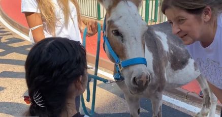 Cani, pony e asinelli: è la "Medicina a quattro zampe" per i piccoli pazienti dell'ospedale Gaslini