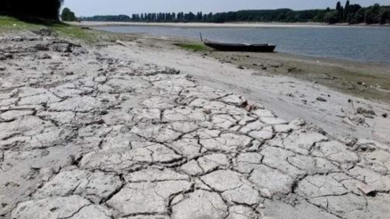 Siccità in Liguria, Moscamora (Cia): "A rischio anche la produzione di olio e vino"