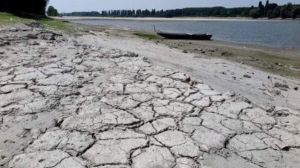 Siccità in Liguria, Moscamora (Cia): "A rischio anche la produzione di olio e vino"