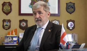 Genova, Bucci: "Via i cinghiali dalla città, rimetterli nel loro habitat"