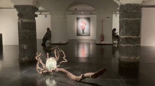 Genova, a Palazzo Ducale la Biennale d’arte contemporanea "Le Latitudini dell'Arte"