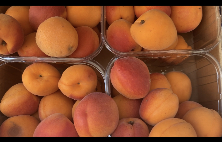 Grande caldo, cosa mangiare e bere per sopravvivere alle alte temperature 