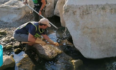 Siccità nel torrente Scrivia a Casella, i pescatori salvano i pesci rimasti intrappolati in piccole pozze