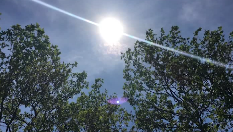 Troppo caldo fa male: ecoansia, aggressività e confusione da cambiamento climatico 