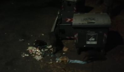 Genova, marito e moglie bloccati da un branco di cinghiali a caccia di cibo fra i cassonetti : il racconto a Telenord