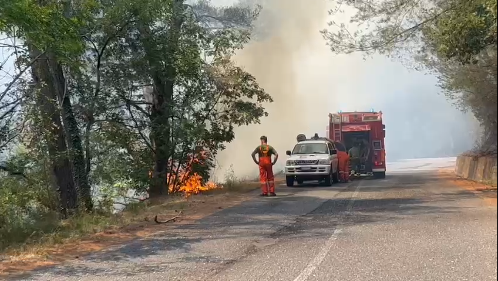 Incendio ad Albenga, bruciati 400 ettari di bosco