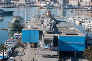 Genova, attivisti si incollano alle vasche dell'Acquario: denunciati