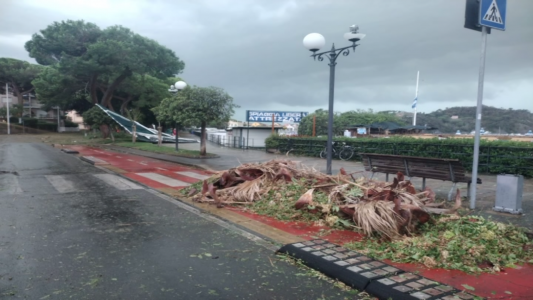 Maltempo in Liguria, il giorno dopo: i 14 feriti stanno bene e gli sfollati sono in attesa di sistemazione