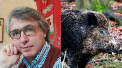Peste suina, ritrovamento carcassa a Campomorone. Il sindaco: "Venuti a sapere da Telenord che era infetta, serve più comunicazione"
