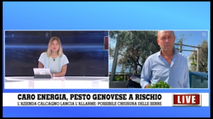 Caro energia, l'allarme dell'azienda Calcagno: "Basilico DOP a rischio, con l'aumento dei costi costretti a chiudere le serre" 