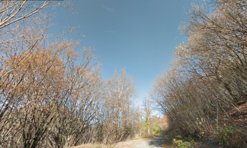 Genova, donna in cerca di funghi si rompe una caviglia nei boschi di Rondanina: soccorsa 