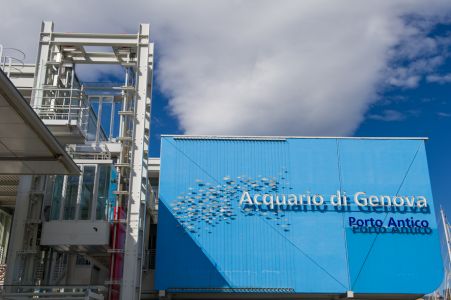 L'Acquario di Genova compie 30 anni: per festeggiare biglietti a metà prezzo per tutti i liguri