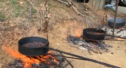 Rialto, oggi appuntamento con la castagnata in località Chiesa