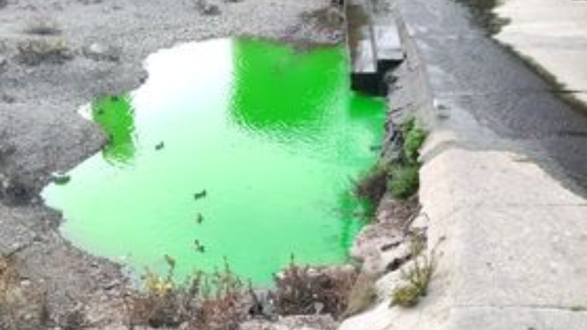 Genova, il Bisagno si colora di verde: nessun pericolo, è fluoresceina