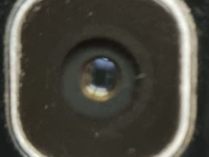 Savona, individuato l'uomo che spiava le ragazze nei bagni del Campus