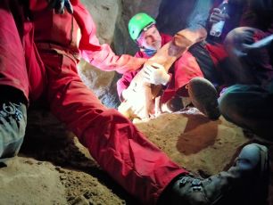 Plodio, cane da caccia cade in una tana nel bosco: salvato dal soccorso alpino 