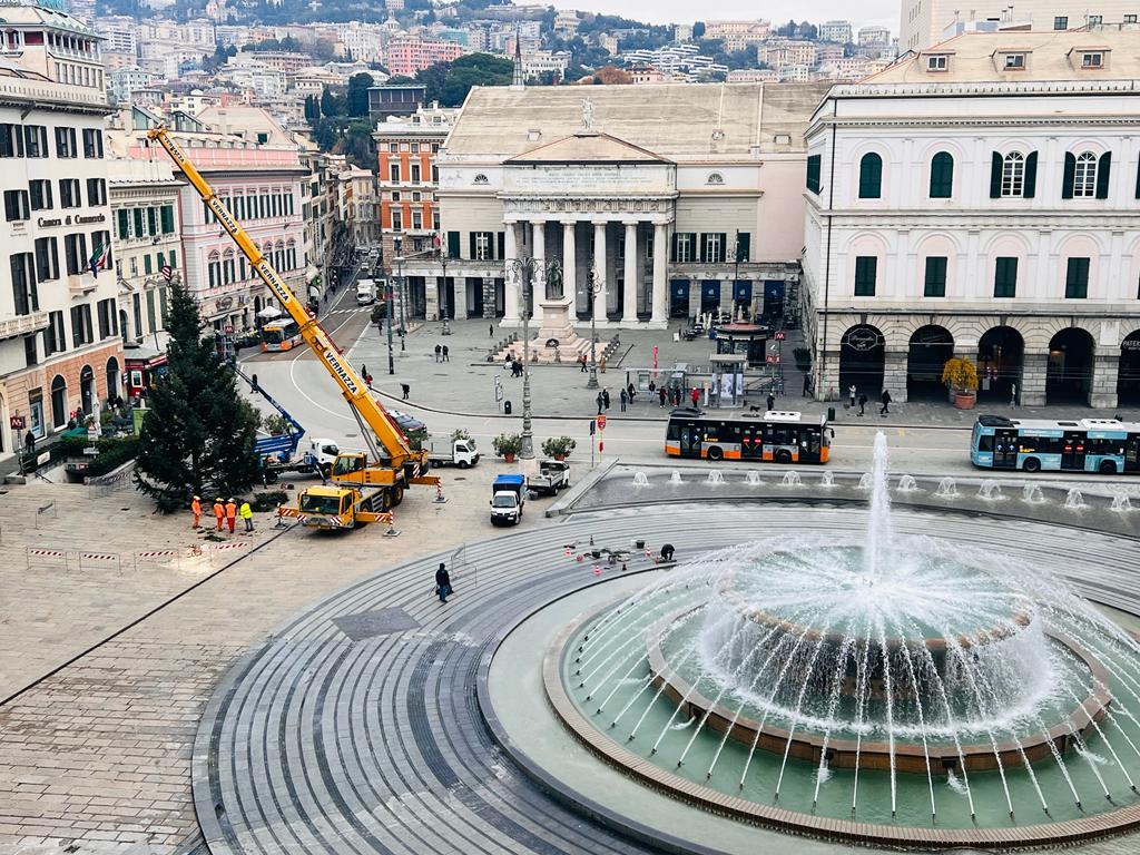 Natale a Genova, è arrivato dalla Lombardia il grande albero che illuminerà piazza De Ferrari