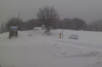 Liguria, fiocchi di neve in collina e montagna: imbiancati il Monte Settepani e il passo del Faiallo