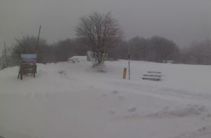 Liguria, fiocchi di neve in collina e montagna: imbiancati il Monte Settepani e il passo del Faiallo
