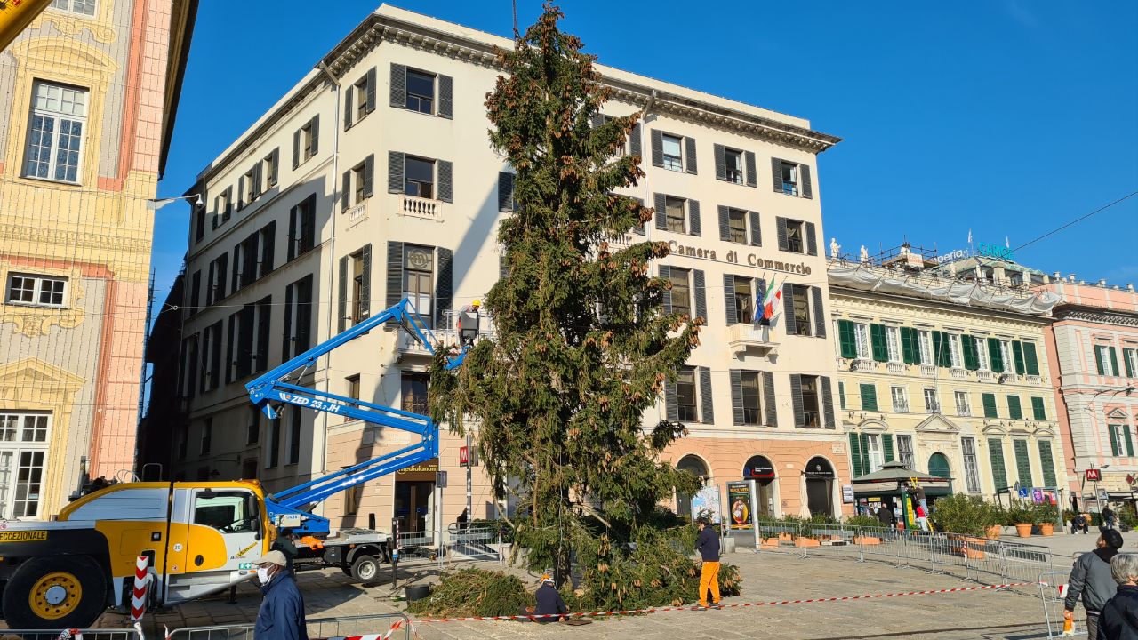 Genova, l'8 dicembre ecco "Liguria, festa di luce": si accenderanno albero e luminare in piazza De Ferrari