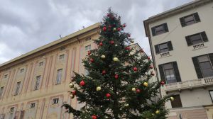 Festa dell'Immacolata, si accende il Natale a Genova: Telenord in diretta dalle 17:15