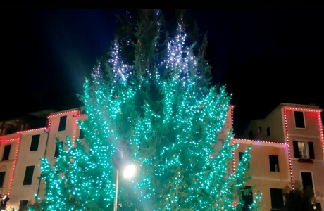 Si accende il Natale a Portofino, il sindaco Viacava: "Un clima di festa per portare un po' di felicità"