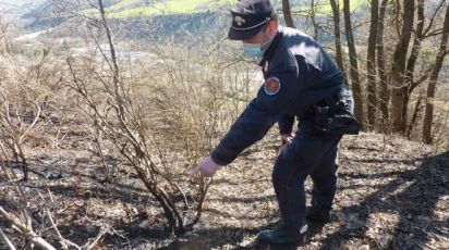 Savona, identificato il responsabile dell'incendio di Cisano sul Neva e Albenga di settembre 2021: in 5 giorni bruciarono 80 ettari di bosco