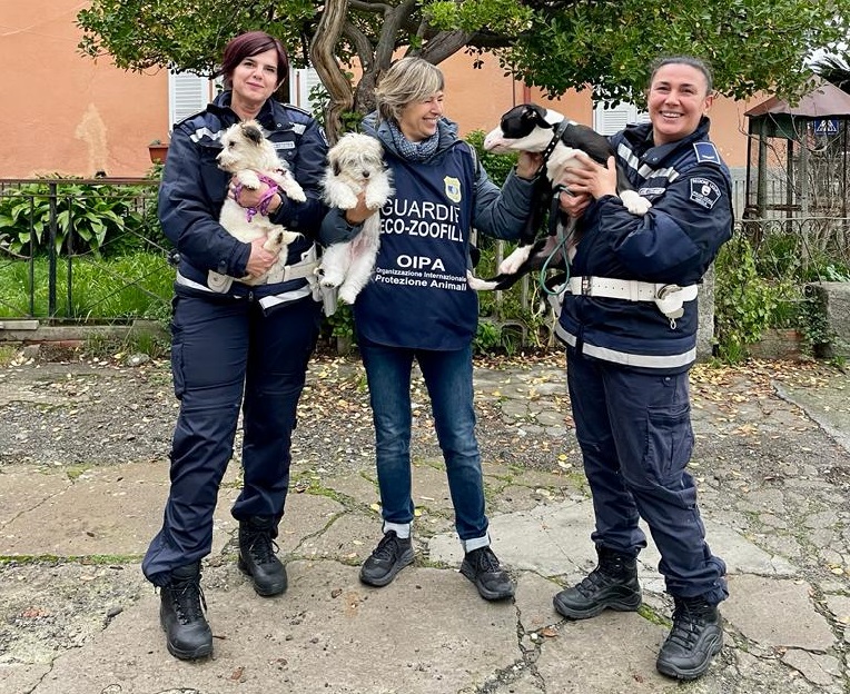Ameglia, salvati dalle guardie zoofile tre cuccioli tenuti in cattività 