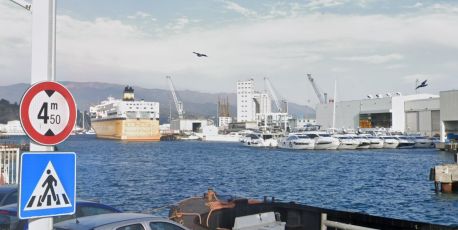 Savona, blitz in porto della guardia di finanza: trovata una tonnellata di cocaina su una nave proveniente dal Brasile