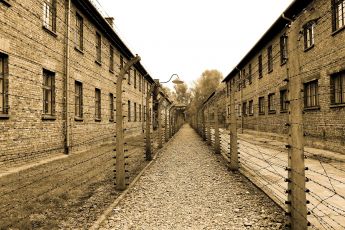 Liguria, una delegazione di 39 studenti andrà in visita al campo di concentramento di Auschwitz-Birkenau