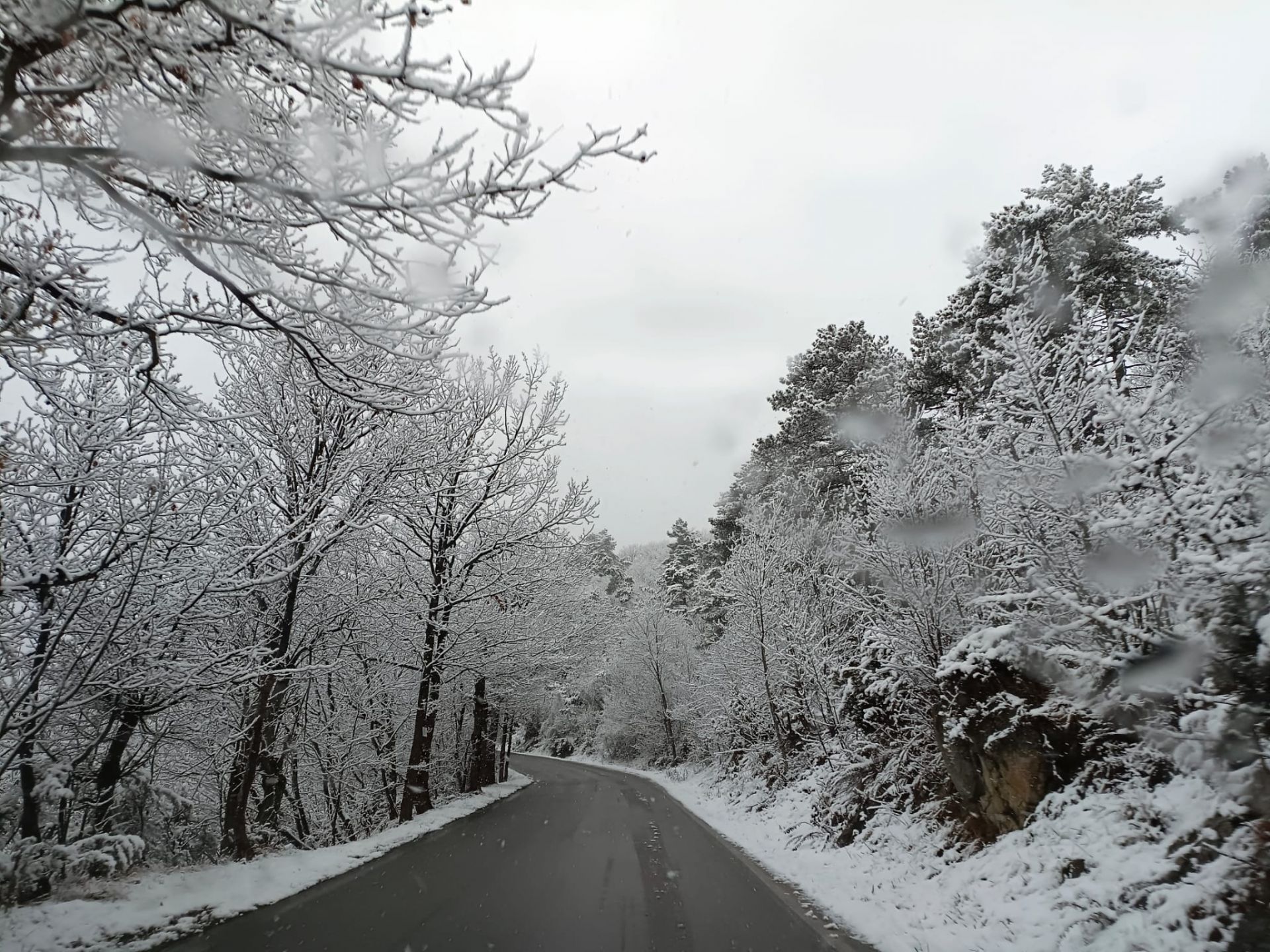 Neve In Liguria, Viaggio Nell’entroterra: Mandate Le Vostre Foto E I ...