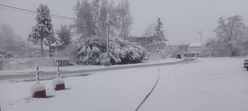 Maltempo Liguria, seconda mattinata di neve nell'entroterra: mandate le vostre foto e i vostri video a Telenord