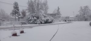 Maltempo Liguria, seconda mattinata di neve nell'entroterra: mandate le vostre foto e i vostri video a Telenord