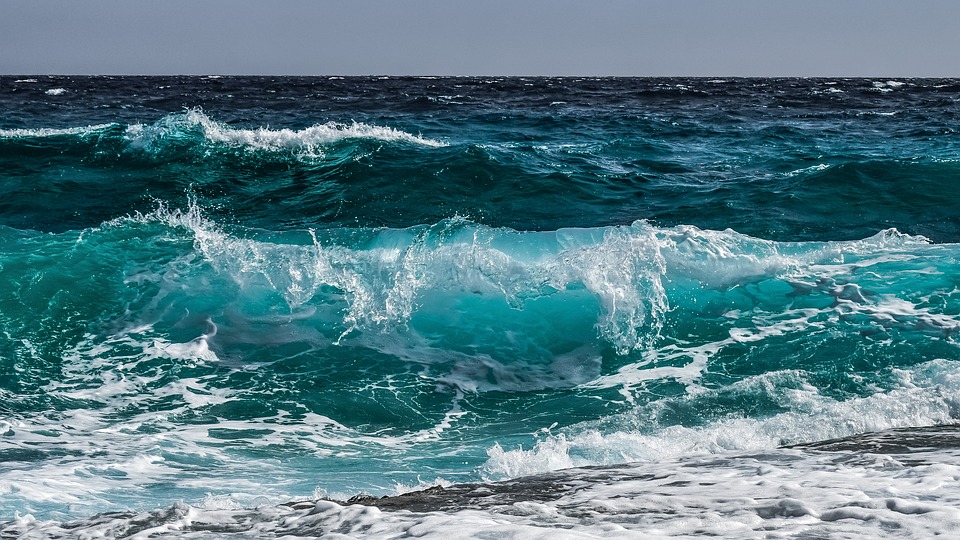 Ambiente: raggiunto all'Onu un accordo per la protezione dell'Alto Mare