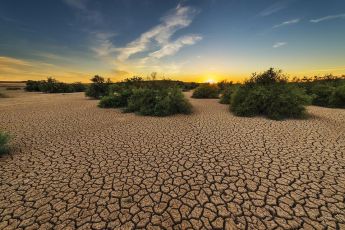 Allarme siccità, l'idea del Sindaco di Genova Marco Bucci: "Depuriamo l'acqua della città e usiamo l'oleodotto per irrigare la Pianura Padana"