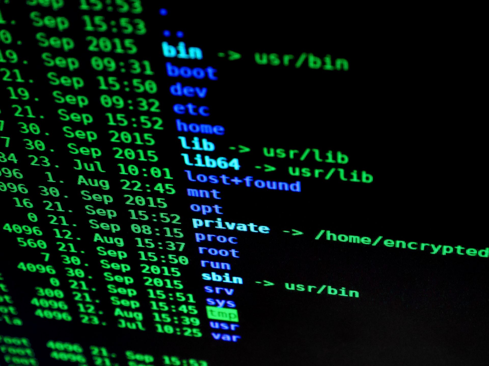 Taggia, il Comune vittima di un attacco hacker: cancellati numerosi file, chiesti 300mila dollari come riscatto
