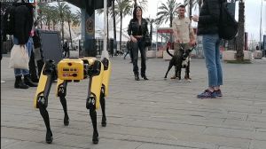 Genova, primi passi per il cane robot "Spot": servirà per la ricerca di dispersi in caso di disastri