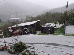 Grandine e temperature in picchiata: colture a rischio dal Ponente genovese al Tigullio