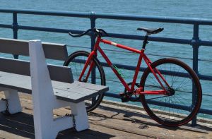 La Spezia, operazione antidegrado: 400 biciclette abbandonate messe all'asta 