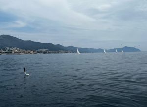 Genova, recuperata rete da pesca alla deriva davanti all'imboccatura del porto di Levante