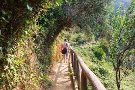 Cinque Terre, nel ponte del primo maggio confermato il senso unico sul sentiero verde azzurro