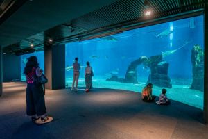 Acquario di Genova, a maggio incontri quotidiani con lo staff per celebrare i 30 anni della struttura