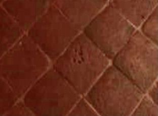 Genova, quelle "nobili"  impronte di cane sul pavimento di Palazzo Imperiale 