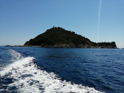 Albenga, il 27 maggio la sesta edizione di “Dritti all’isola”, gara di nuoto in acque libere