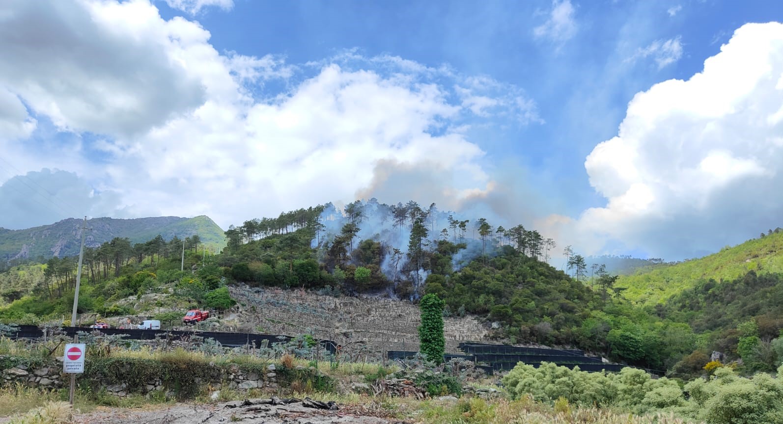 Loano, incendio boschivo in località Verzi: Vigili del Fuoco e volontari al lavoro per domare le fiamme