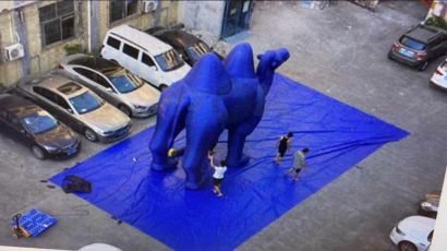 Genoa, fervono i preparativi per il "funerale" alla Sampdoria: pronti anche i cammelli gonfiabili che fanno il verso alla "trattativa" Al Thani