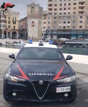 Albisola, carabinieri perquisiscono un'abitazione in cerca di un portafoglio rubato e trovano una piccola piantagione di cannabis